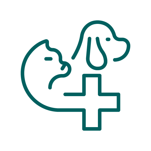 Pet Wellness Exams Icon