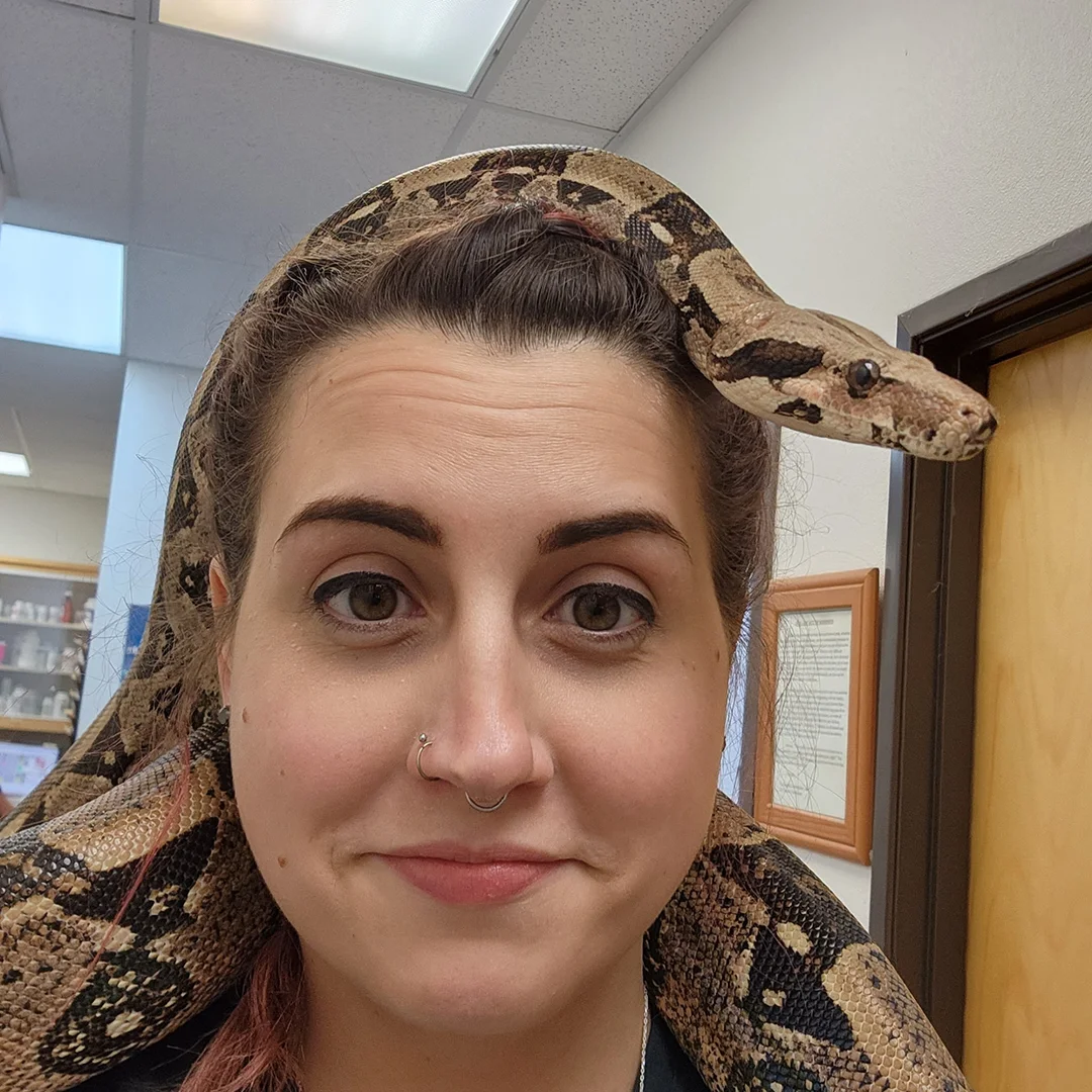 Person with a calm expression standing indoors while a large brown and tan boa constrictor rests around their shoulders and head.