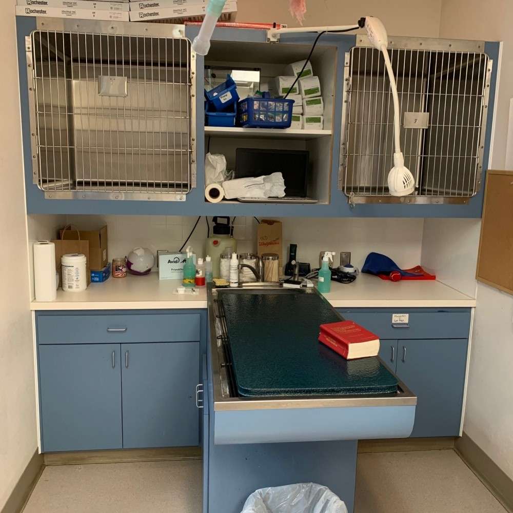 clinic examining area 1