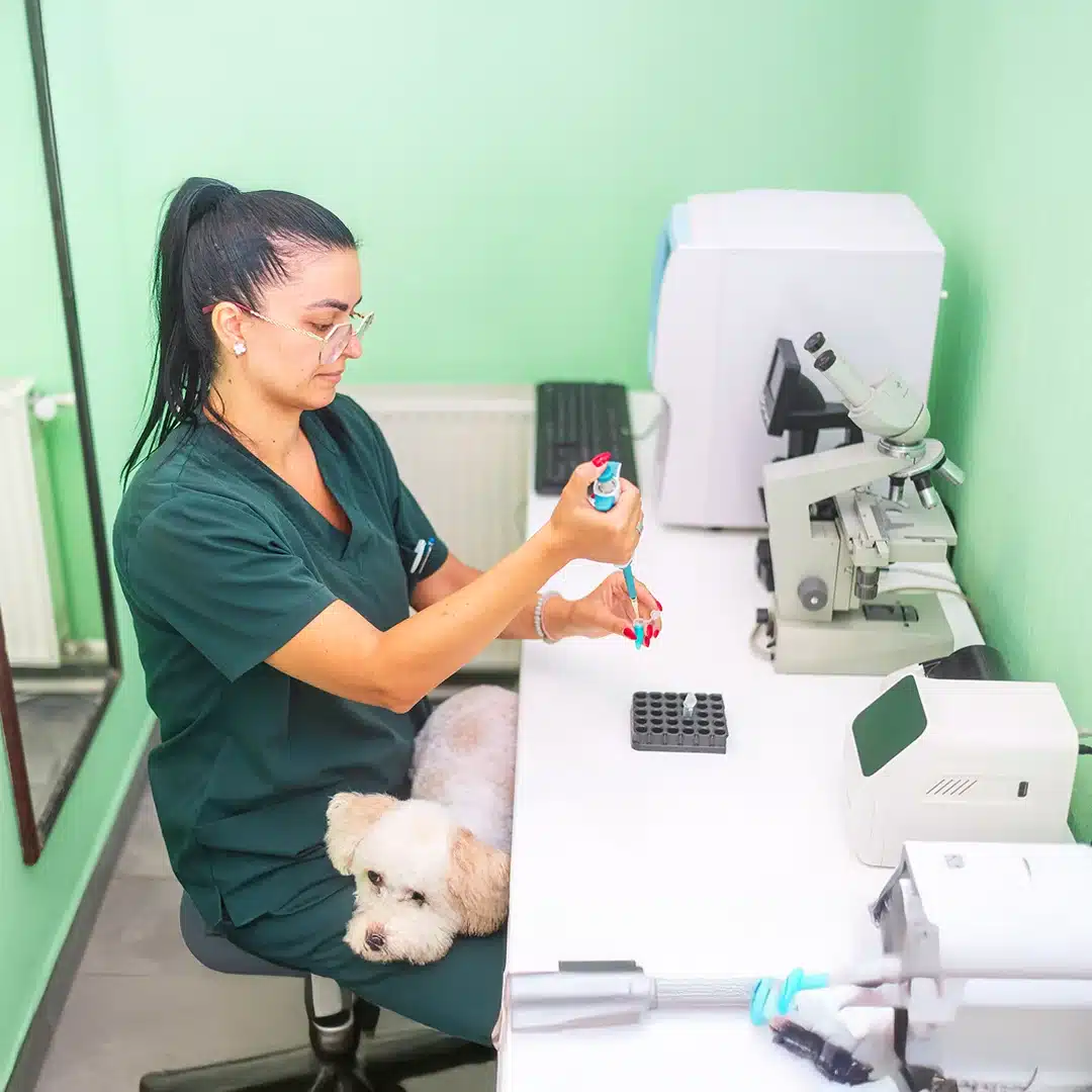 Pet Laboratory Testing In Newberg, OR | Family Pet Clinic Of Newberg
